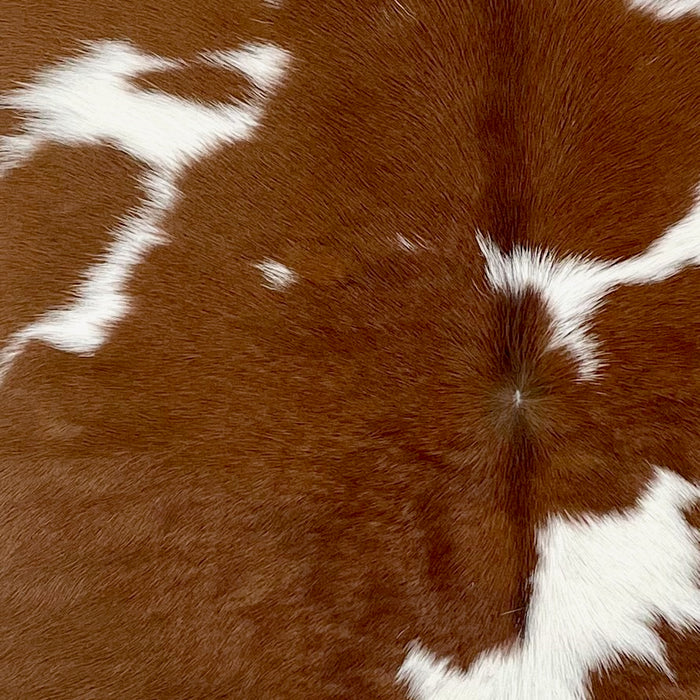 Closeup of this Calfskin, showing brown and white (CALF862)