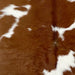 Closeup of this Calfskin, showing brown and white (CALF862)