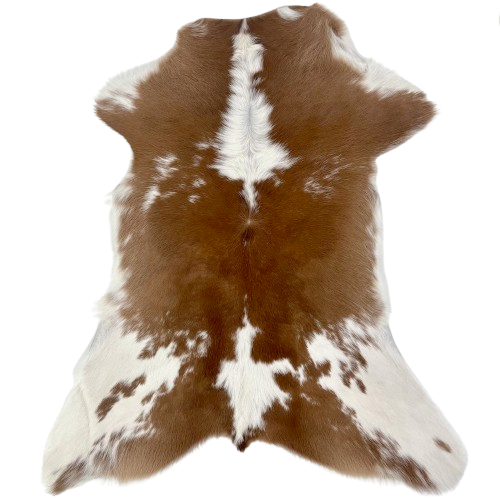 Brown and White Calfskin: brown with small and large, white spots - 2'11" x 2'2" (CALF863)