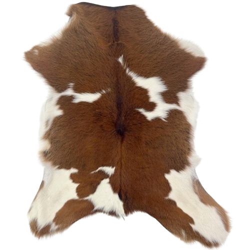 Brown and White Calfskin: brown with white and off-white spots - 2'8" x 2'1" (CALF865)