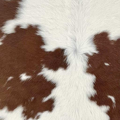 closeup of this Calfskin, showing white with brown spots (CALF867)