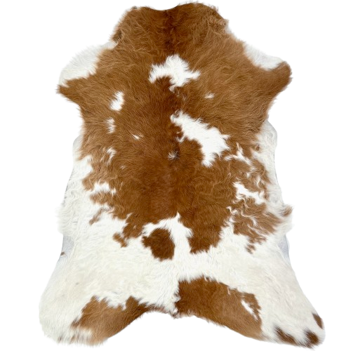 Brown and White Calfskin: has long hair that is white and off-white with large and small, brown spots - 3'3" x 2'3" (CALF870)