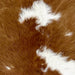 closeup of this Calfskin, showing long hair that is white with large and small, brown spots (CALF870)