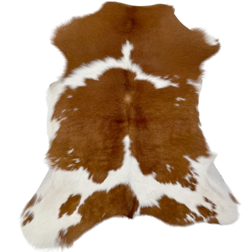 Brown and White Calfskin: white with small and large, brown spots - 2'11" x 2' (CALF872)