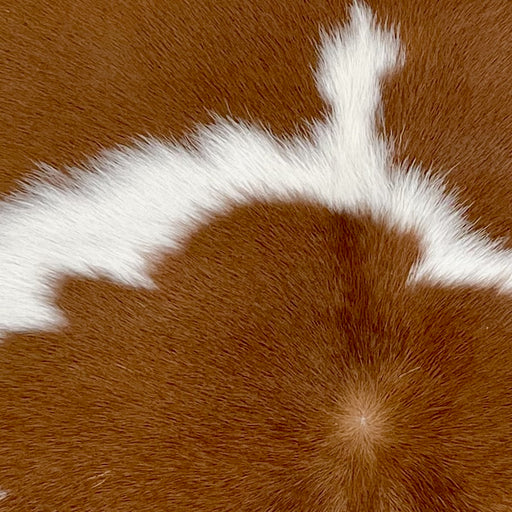 closeup of this Calfskin, showing white and brown (CALF872)
