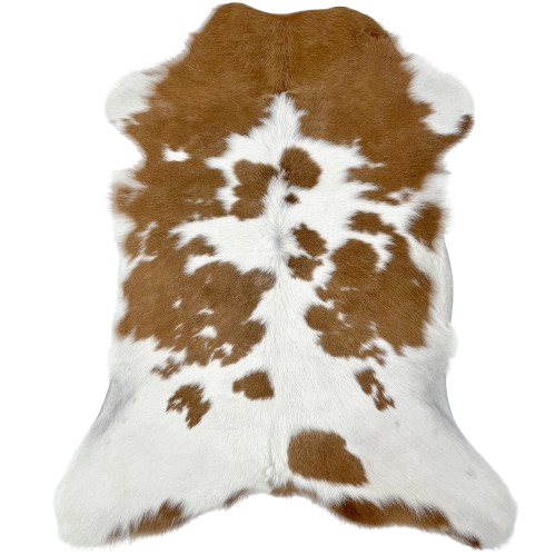 Brown and White Calfskin: white with large and small, brown spots - 3' x 2'2" (CALF873)