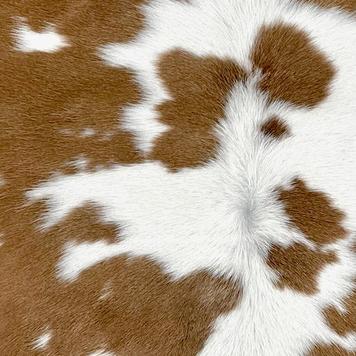 Closeup of this Calfskin, showing white with large and small, brown spots  (CALF873)