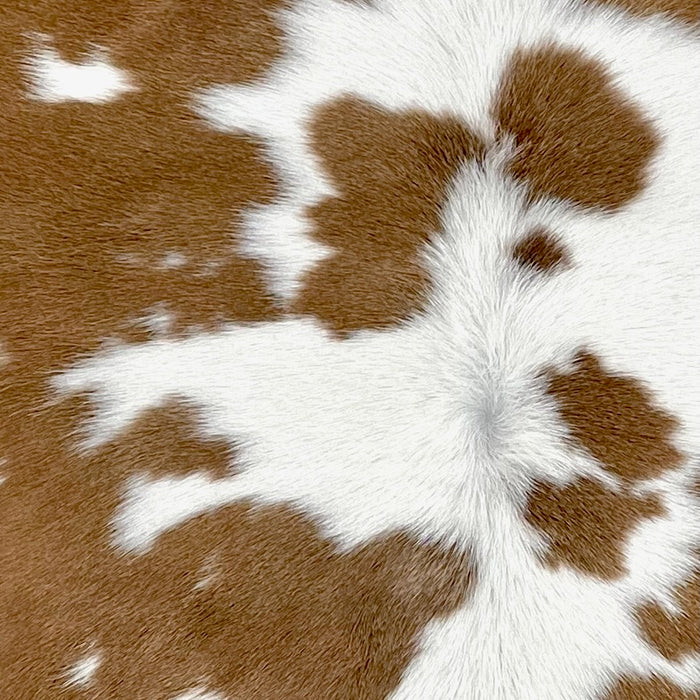 Closeup of this Calfskin, showing white with large and small, brown spots  (CALF873)