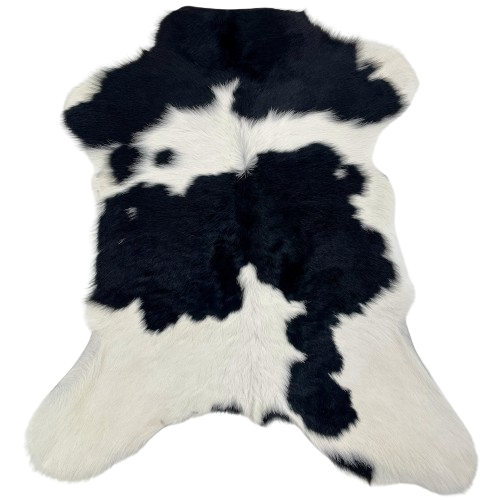 Black and White Calfskin: white with large and small, black spots - 3'1" x 2'5" (CALF877)