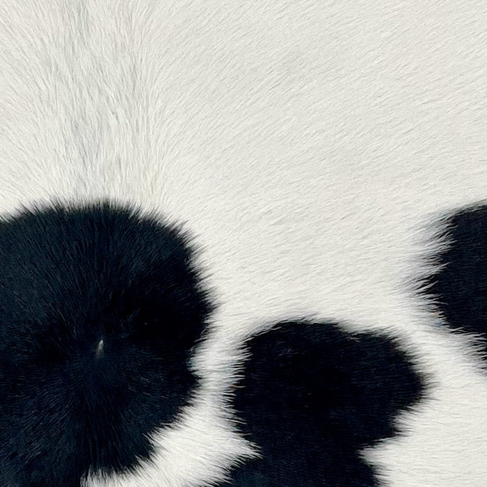 closeup of this Calfskin, showing white with black spots (CALF878)
