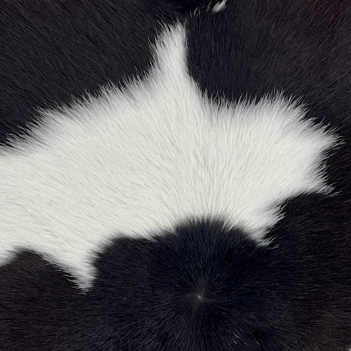 closeup of thisCalfskin, showing white and black  (CALF880)