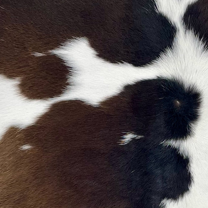 closeup of this Calfskin, showing white with dark brown spots (CALF881)