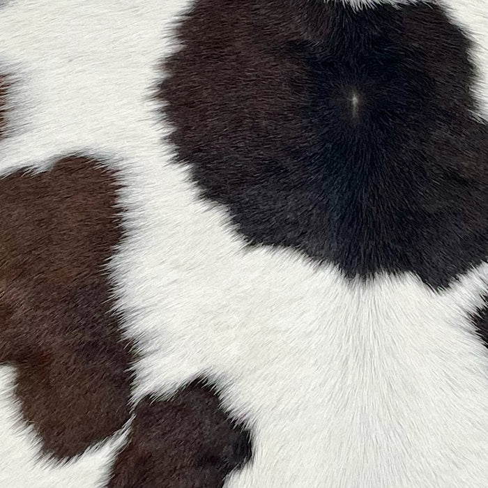 closeup of this Calfskin, showing white with dark brown spots  (CALF882)
