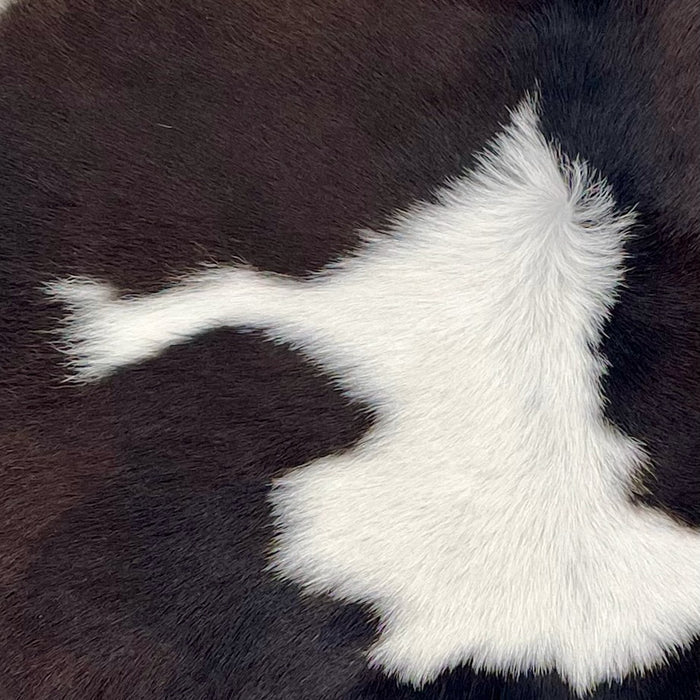 closeup of this Calfskin, showing white and blackish brown CALF885)