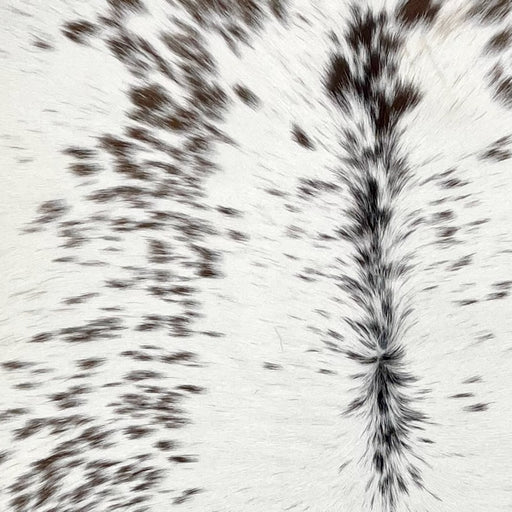 closeup of this Speckled Calfskin, showing white with brown speckles, and brown and black speckles down the spine (CALF890)