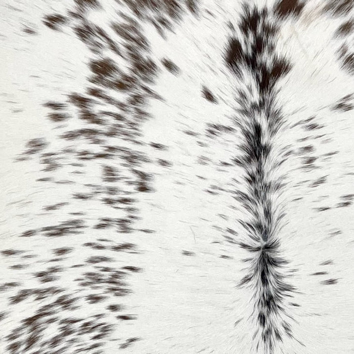 closeup of this Speckled Calfskin, showing white with brown speckles, and brown and black speckles down the spine (CALF890)