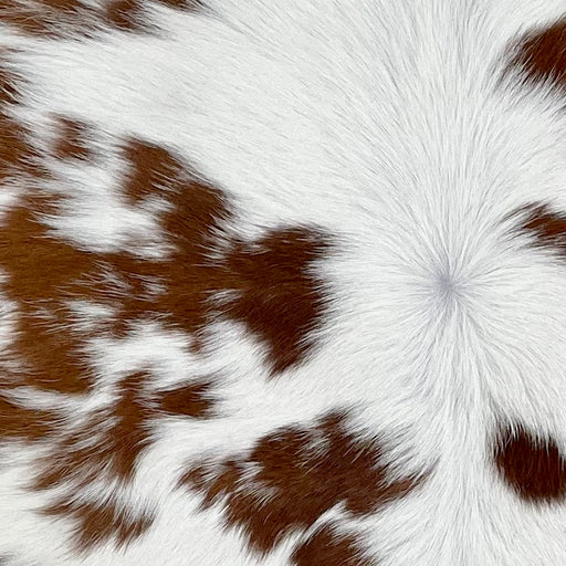 closeup of this Calfskin, showing white with brown spots  (CALF892)
