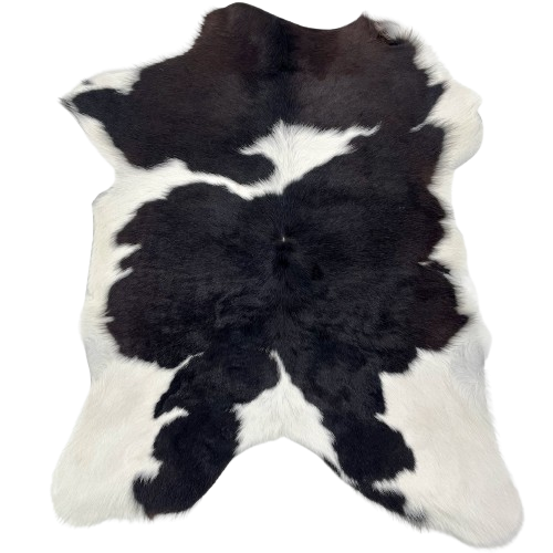 Black and White Calfskin: white with black spots - 2'11" x 2'5" (CALF893)