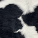 closeup of this Calfskin, showing white with large, black spots (CALF894)