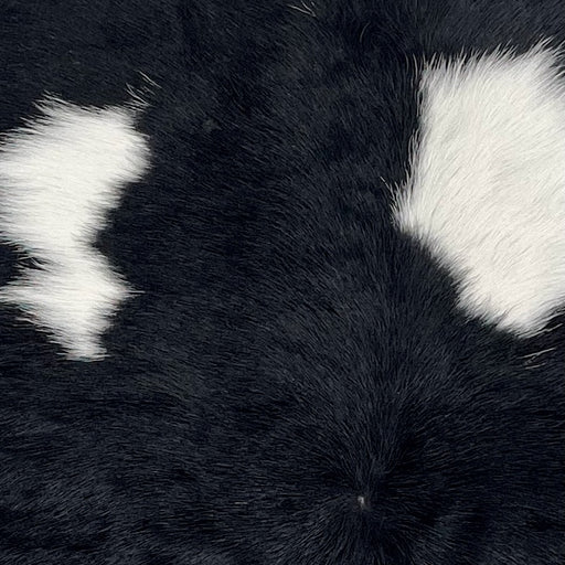 closeup of this Calfskin, showing white and black spots (CALF895)