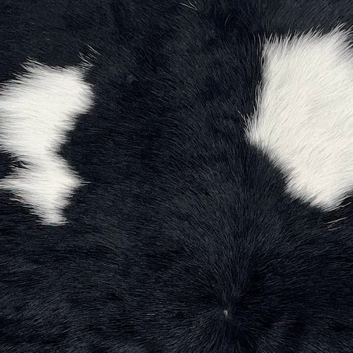 closeup of this Calfskin, showing white and black spots (CALF895)