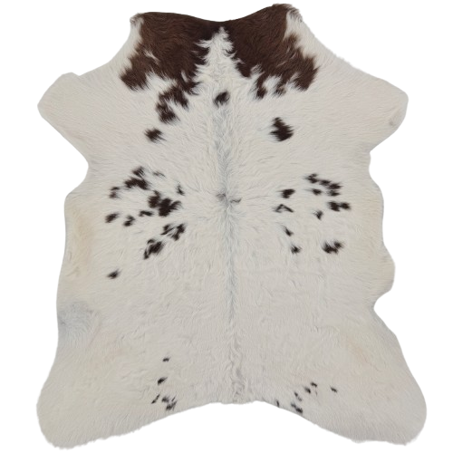 White and Brown Calfskin: white with brown spots and off-white on the belly - 2'9" x 2'5"  (CALF896)