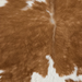 Closeup of this Calfskin, showing white with brown spots (CALF897)