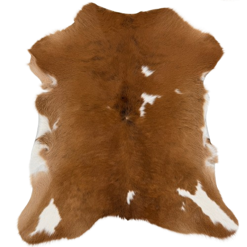 Brown and White Calfskin:  brown with small, white spots - 2'10" x 2'4" (CALF898)