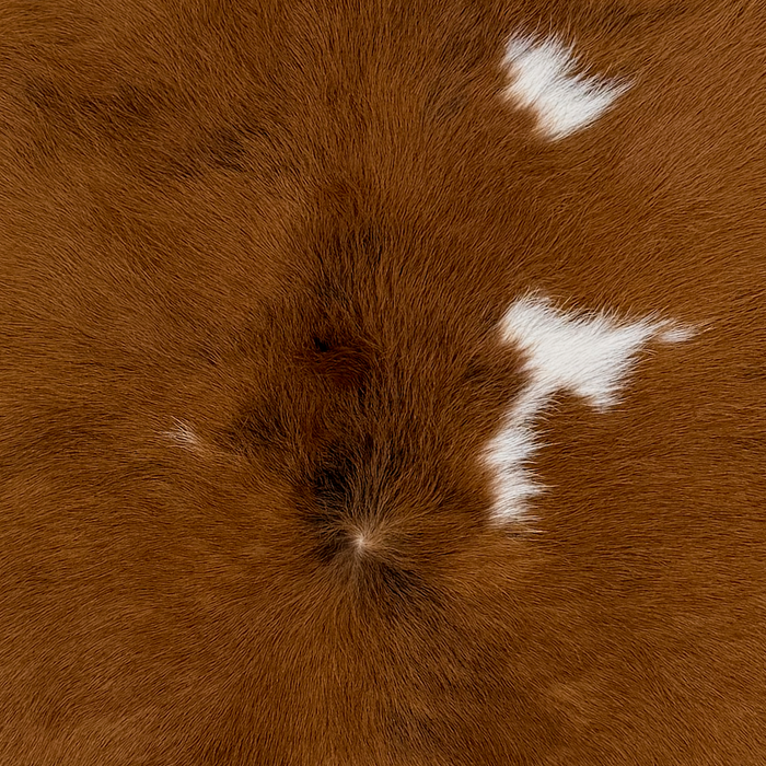 Closeup of this Calfskin, showing brown with small, white spots (CALF898)