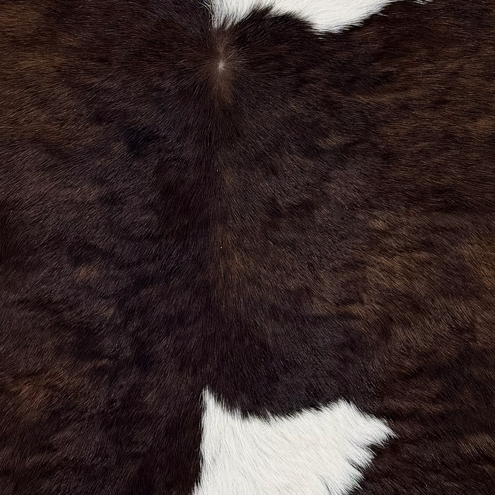 Closeup of this Calfskin, showing white with dark brown spots (CALF899)