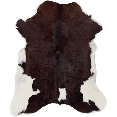 Dark brown and White Calfskin: dark brown with white spots on the belly, butt and hind shanks, and longer hair on the belly - 3'2" x 2'6" (CALF900)