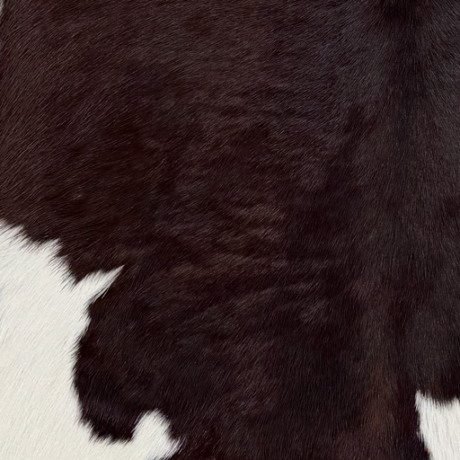 Closeup of this Calfskin, showing dark brown with white spots (CALF900)