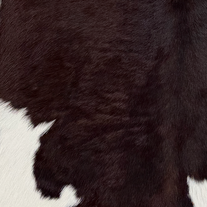Closeup of this Calfskin, showing dark brown with white spots (CALF900)