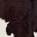 Closeup of this Calfskin, showing dark brown with white spots (CALF900)