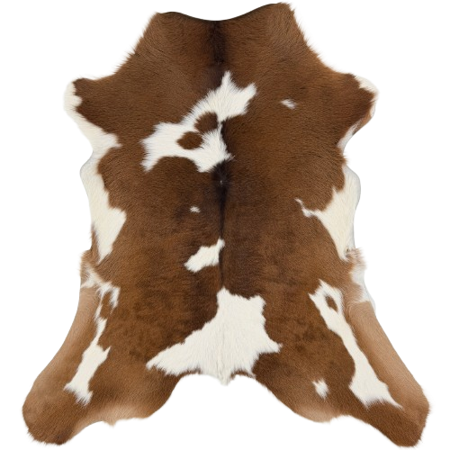 Brown and White Calfskin: brown with white spots - 3'2" x 2'4" (CALF902)