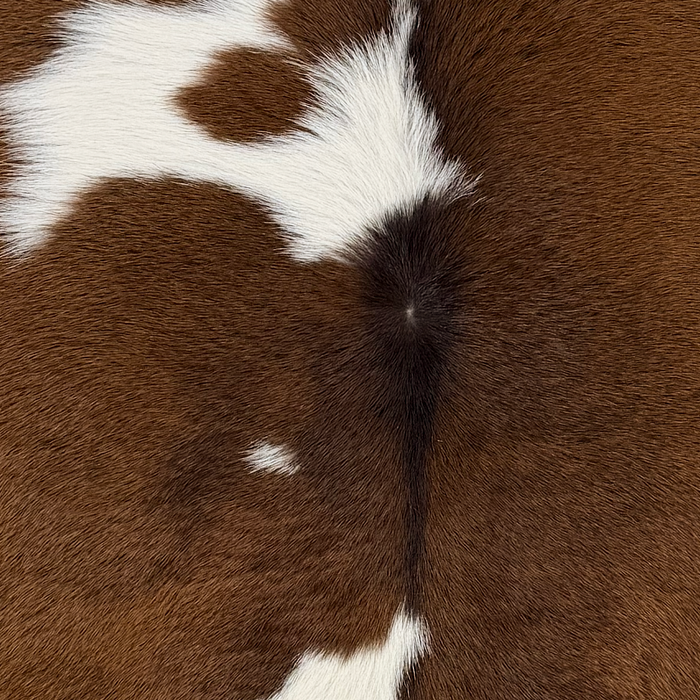 Closeup of this Calfskin, showing brown with white spots (CALF902)
