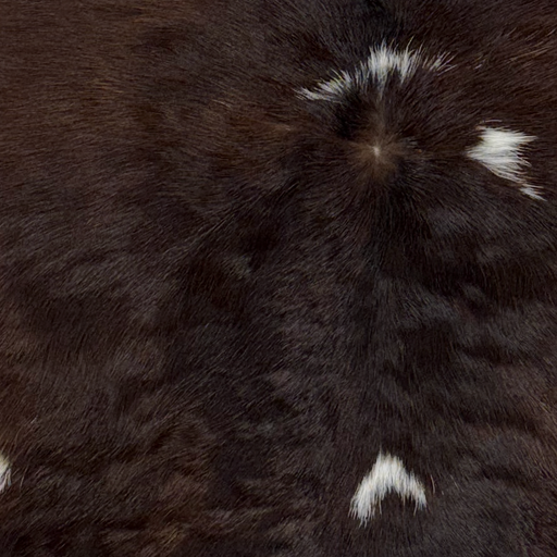 Closeup of this Calfskin, showing dark brown with small, white spots (CALF904)