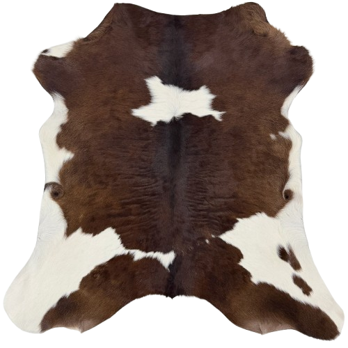 Dark Brown and White Calfskin: dark brown with white spots - 3'2" x 2'9' (CALF906)