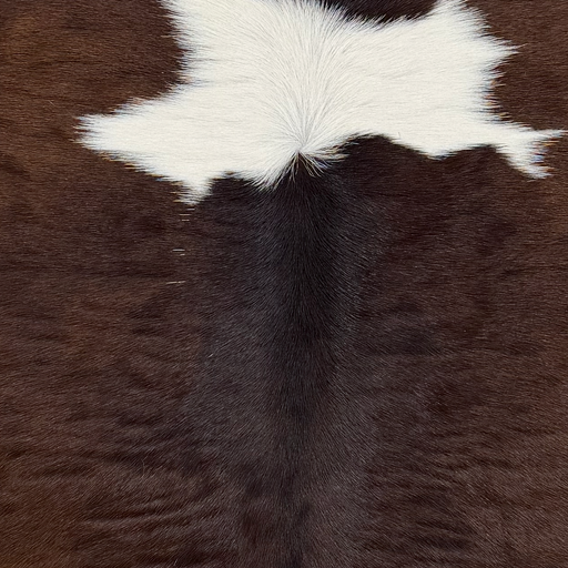 Closeup of this Calfskin, showing dark brown with white spots (CALF906)