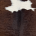 Closeup of this Calfskin, showing dark brown with white spots (CALF906)
