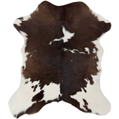 Dark Brown and White Calfskin:  dark brown with large and small, white spots - 3'4" x 2'10" (CALF907)