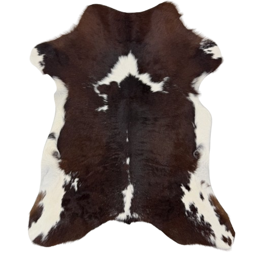 Dark Brown and White Calfskin: dark brown with white spots, and white on the belly - 3'4" x 2'8" (CALF908)