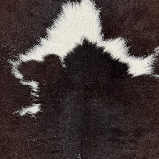 Closeup of this Calfskin, showing dark brown with white spots (CALF908)