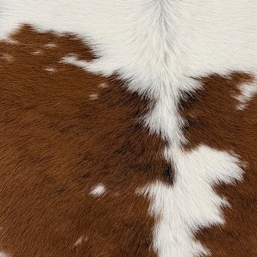 Closeup of this Calfskin, showing white with large and small, brown spots  (CALF909)