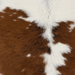 Closeup of this Calfskin, showing white with large and small, brown spots  (CALF909)