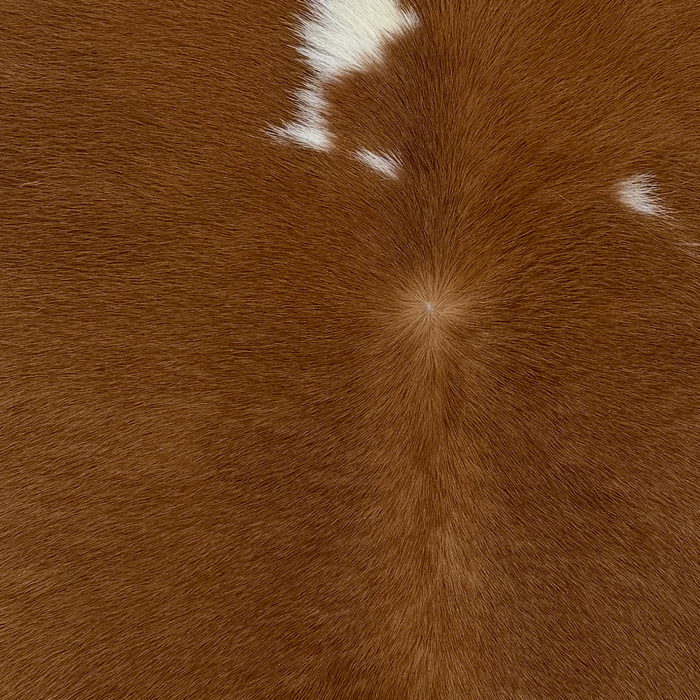 Closeup of this Calfskin:, showing brown with small, white spots (CALF911)
