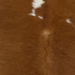 Closeup of this Calfskin:, showing brown with small, white spots (CALF911)