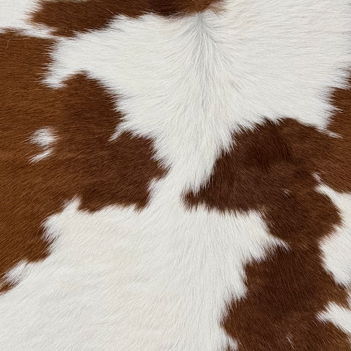 Closeup of this Calfskin, showing white with brown spots  (CALF912)