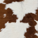 Closeup of this Calfskin, showing white with brown spots  (CALF912)