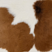 closeup of this Calfskin, showing white with large brown spots (CALF914)